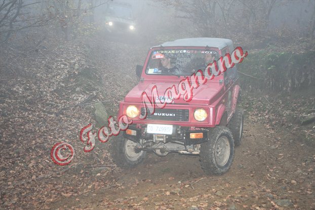DSC_3675.jpg